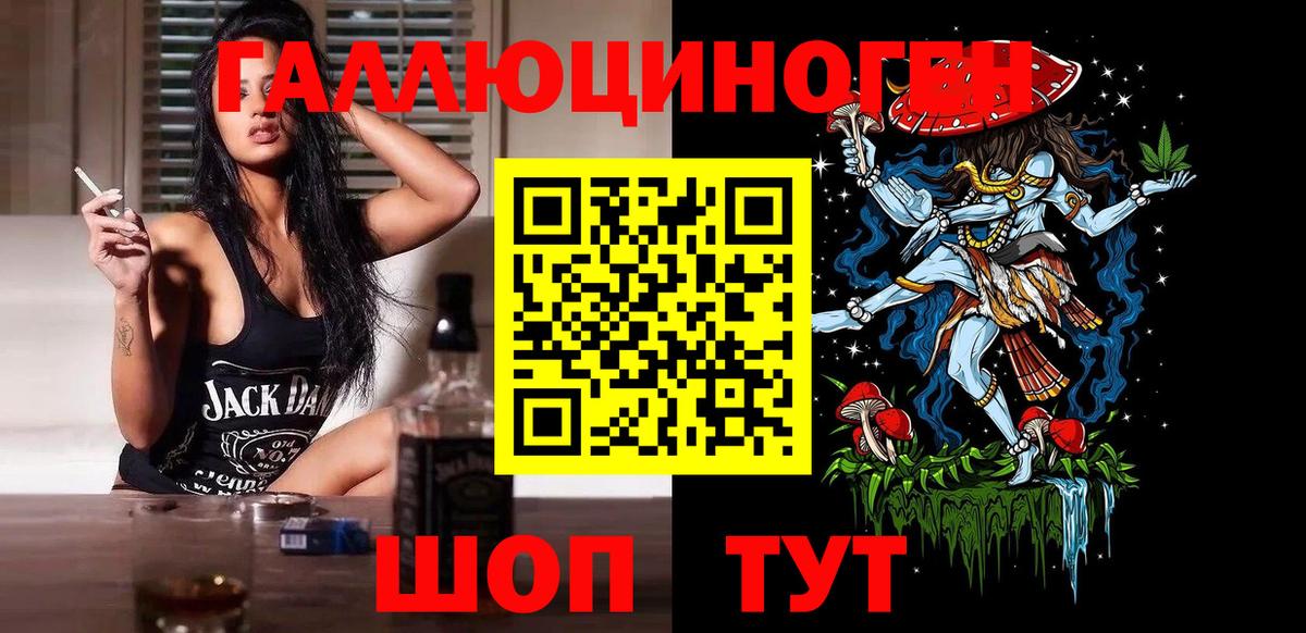 Галлюциногенные грибы Psilocybine cubensis Кизилюрт
