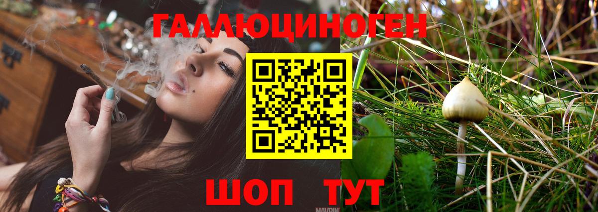 Галлюциногенные грибы мицелий  Вход с VPN  Кизилюрт 