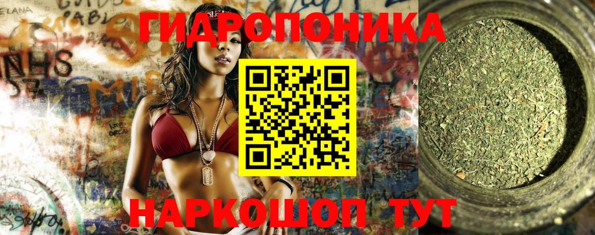 Шишки марихуана семена  Канабис сатива  Вход с VPN  Каннабис AK-47  Кизилюрт 